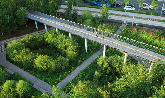 2024绿色基础建设行业市场现状、前景研究