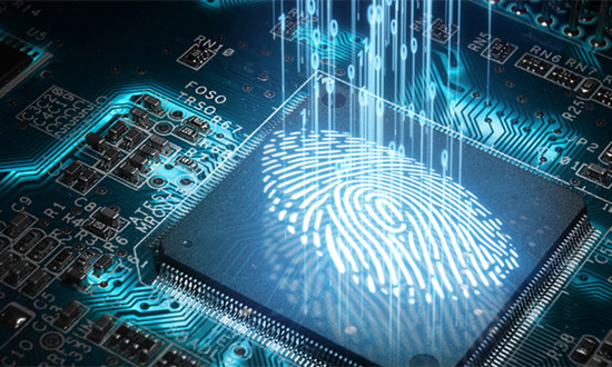 指纹识别芯片行业市场深度分析2024