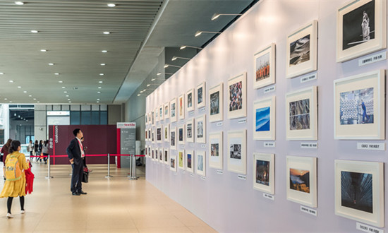 文化会展行业发展分析及未来市场趋势预测2024