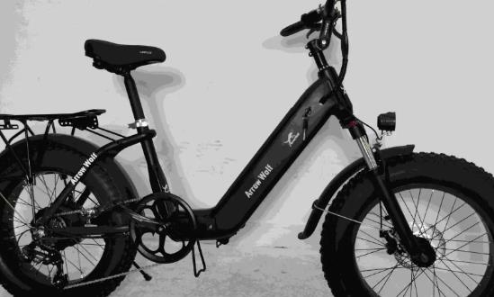 2024电动自行车行业市场投资潜力预测报告