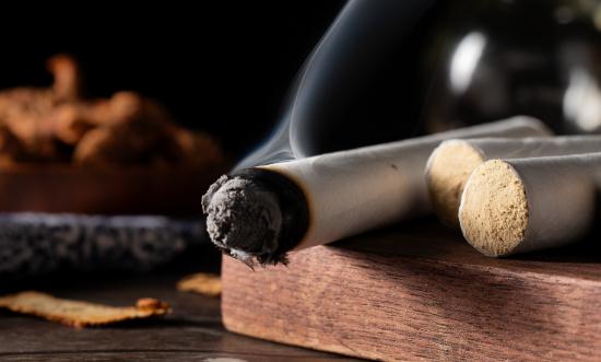 2024艾灸行业市场发展现状及消费者画像调研