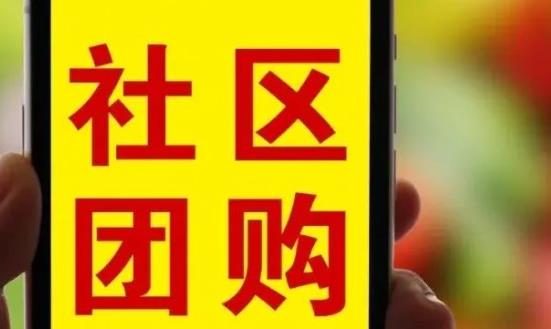 社区团购行业商业模式、市场现状、前景研究2024