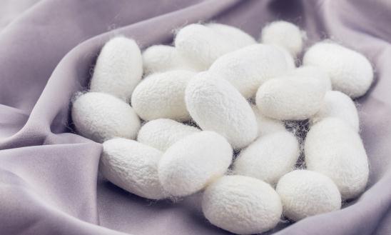 2024蚕丝被行业市场分析及发展规划