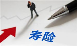 人寿保险龙头企业市场现状与行业发展前景研究