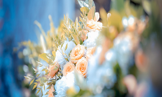 电商赋能，鲜花产业再向前一步 2024鲜花行业市场前景预测