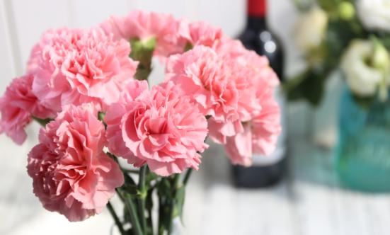 2024康乃馨行业市场发展现状及竞争格局、供需趋势分析