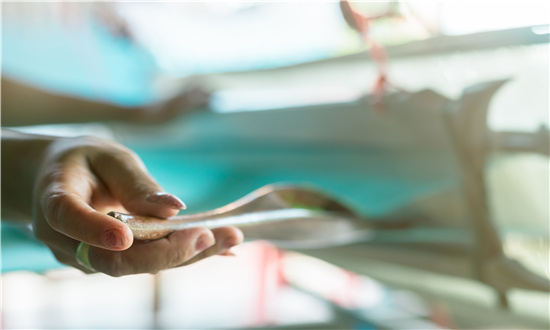 2024年中小企业行业市场发展现状及未来发展前景趋势分析