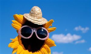 2024年防晒用品行业供需分析及发展前景研究 北方夏季升温带动清凉防晒产品销售热潮