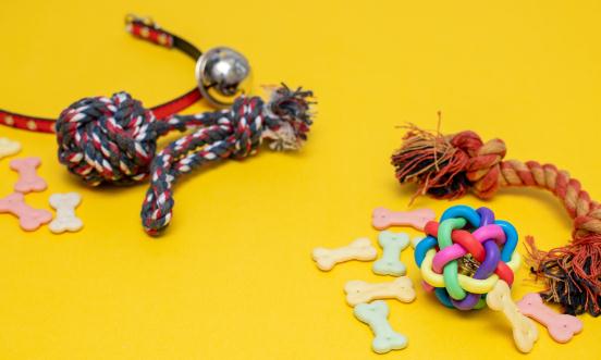 2024宠物玩具行业市场现状及品牌竞争格局、未来趋势分析