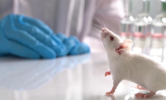 2024年动物模型行业的市场发展现状及发展趋势分析