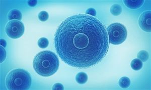 2024年干细胞行业的市场发展现状及发展前景分析