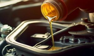 2024年生物柴油行业市场及发展前景 国家鼓励生物柴油产业发展推广应用