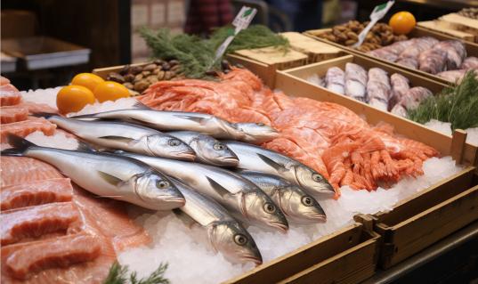 中国海鲜行业区域市场分析及细分市场分析预测