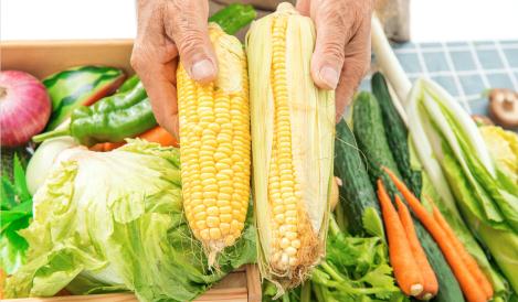 中国农产品检测行业市场全景调研与发展前景预测