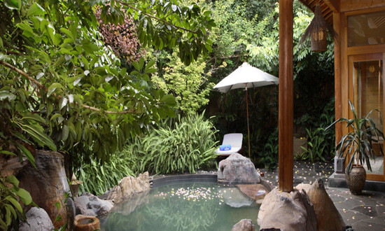 温泉旅游市场发展前景预测2024