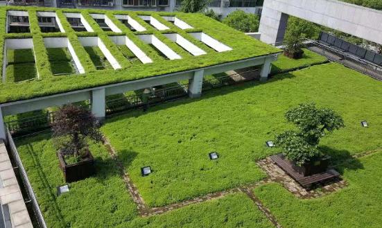 屋顶绿化前景分析：未来屋顶绿化面积将进一步扩大
