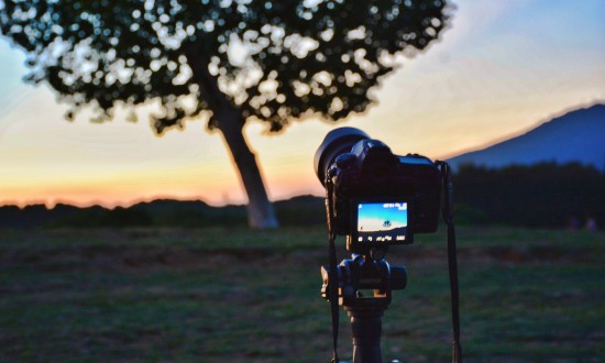 2024年中国数码相机行业的市场发展现状及重点企业