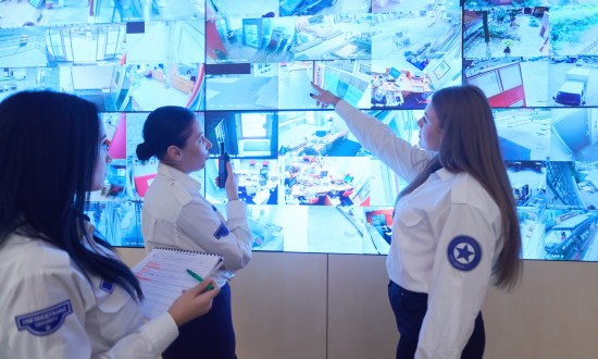 2024年中国楼宇保安系统行业的产业链上下游结构及发展前景