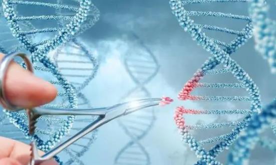 基因行业投资前景分析：到2028年我国基因治疗市场规模将达700亿元