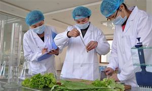 2024年食品安全行业发展前景及投资风险预测 麦当劳中国回应过期食材换标签事件