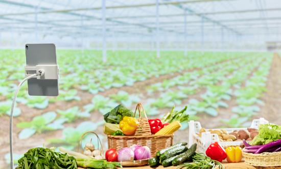 2024中国农业电商行业投资潜力及发展前景分析