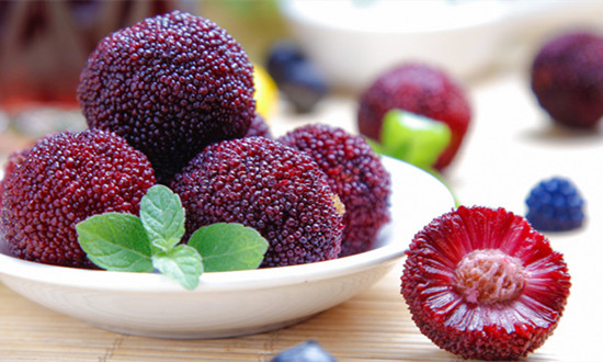 杨梅种植面积、产量及行业发展现状分析