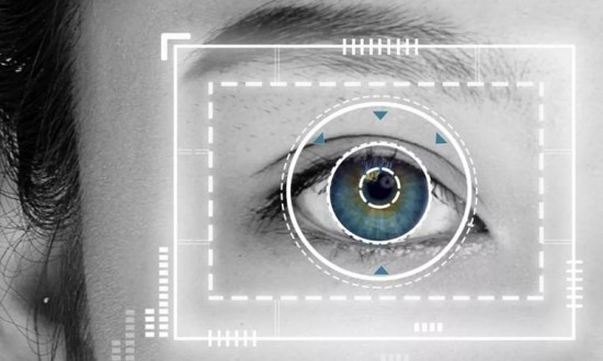 2024年中国虹膜识别行业的产业链上下游结构及投资前景分析