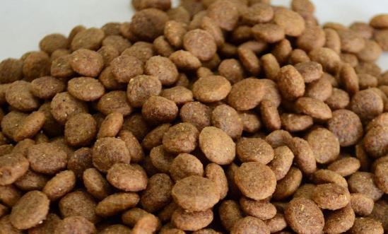 宠物饲料行业市场机会分析：预计2026年城镇宠物(犬猫)消费市场规模达3613亿元