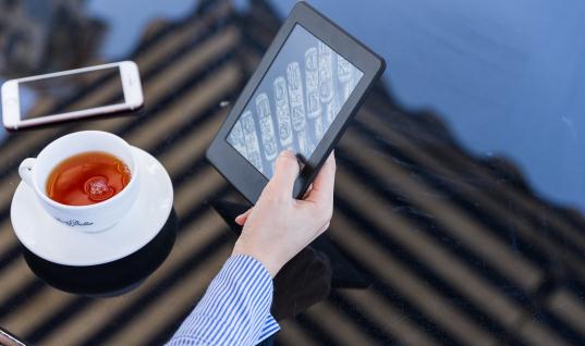 电子纸行业市场深度分析及产业链研究