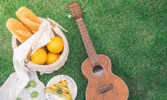 2024吉他行业市场发展趋势及投资前景分析