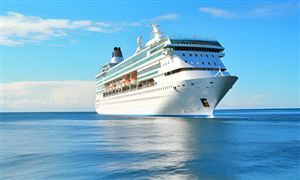 邮轮旅游行业市场调查分析及发展前景展望 外国旅游团乘坐邮轮入境免签