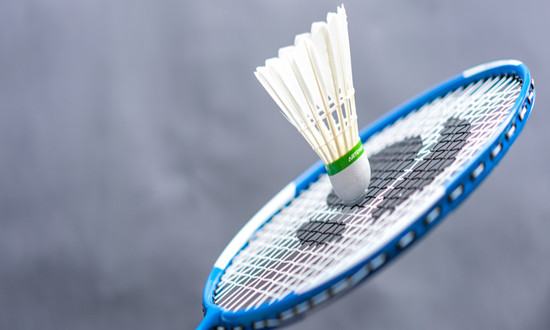 羽毛球行业市场现状及前景趋势分析
