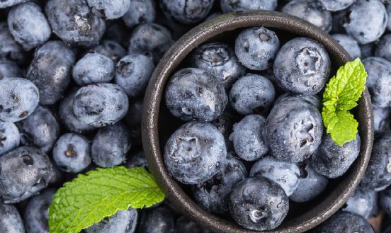 2024年中国蓝莓种植面积、产量及市场情况分析