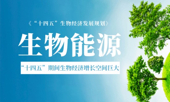 2024年生物能源行业的产业链上下游结构及投资前景分析