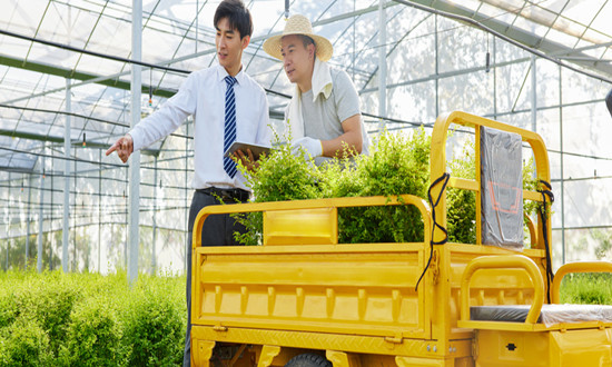 农产品批发市场产业链及前景趋势分析