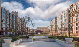 社区O2O行业市场竞争格局及未来趋势预测2024