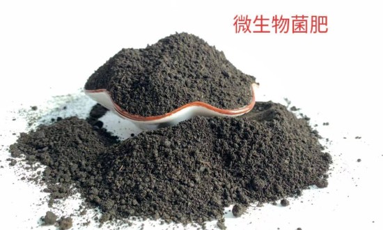 2024年微生物肥料产业的市场发展现状及发展趋势分析