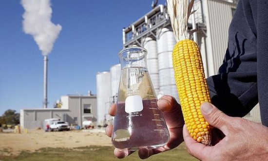 2024年生物乙醇产业链的上下游结构及发展趋势分析