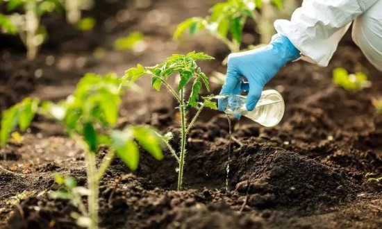 2024年中国生物农业行业的产业链上下游结构及发展趋势分析