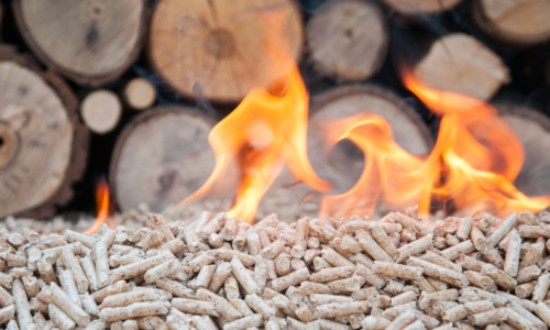 2024年生物质燃料行业的产业链分析及发展趋势