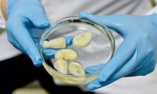 2024年中国生物材料行业的市场发展现状及发展前景分析