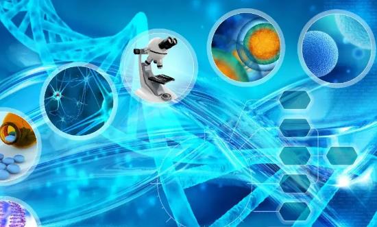 中国功能医学发展现状、竞争格局及未来发展前景分析