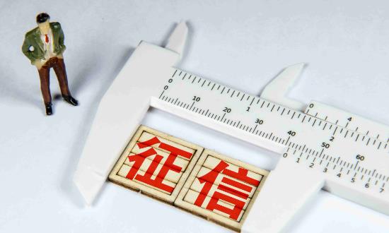 征信服务行业市场现状分析与前景研究2024