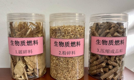 2024年新型生物清洁燃料行业的产业链上下游结构及市场发展现状