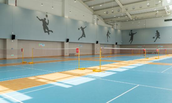 2024社区体育行业发展现状及市场需求调查