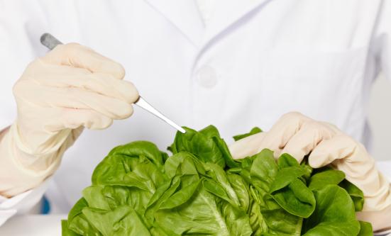 2024农产品检测行业发展现状及市场容量调研