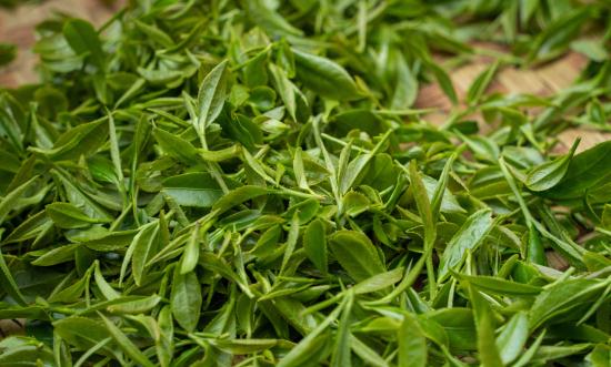 2024茶叶行业发展现状及进出口市场、未来前景分析