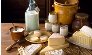 乳制品行业市场调研：奶酪已成为乳制品行业的新增长引擎