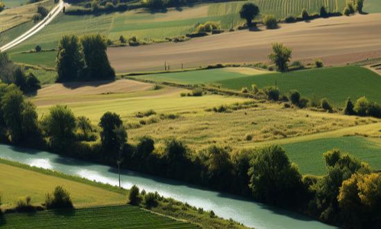 农林保水剂行业市场规模及未来发展趋势分析