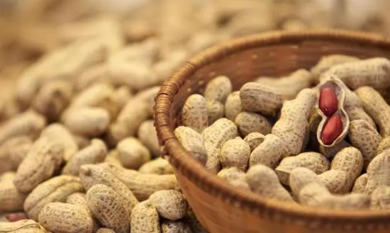 2024花生产业市场环境分析与价格走势预测